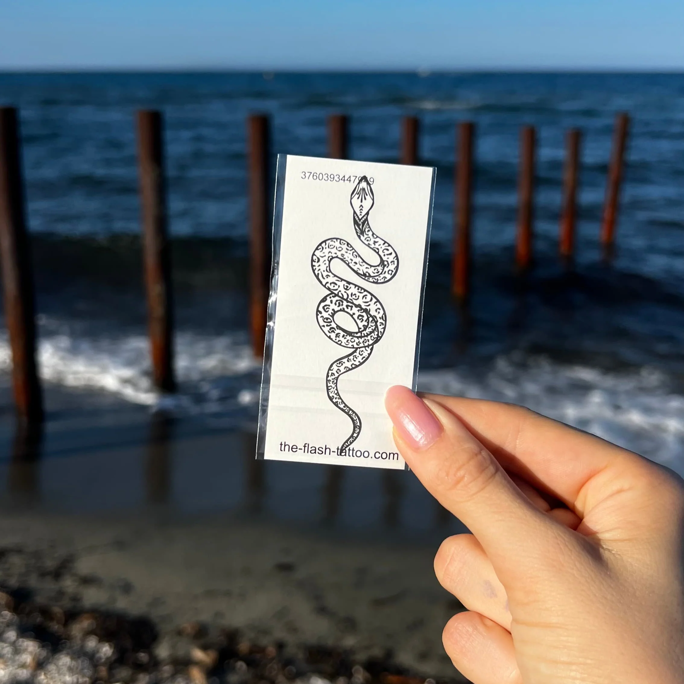 Image du produit 4